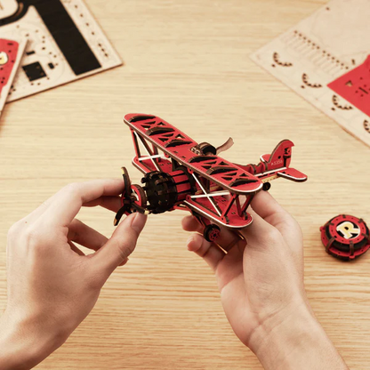 ROKR Sky Captain Pendulum Balance Toy 3D Wooden Puzzle MCD01